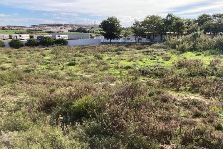 Terreno para Venda em São Bartolomeu dos Galegos e Moledo Foto 6