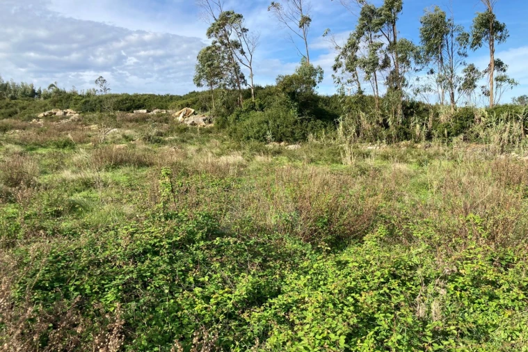 Terreno para Venda em São Bartolomeu dos Galegos e Moledo Foto 13