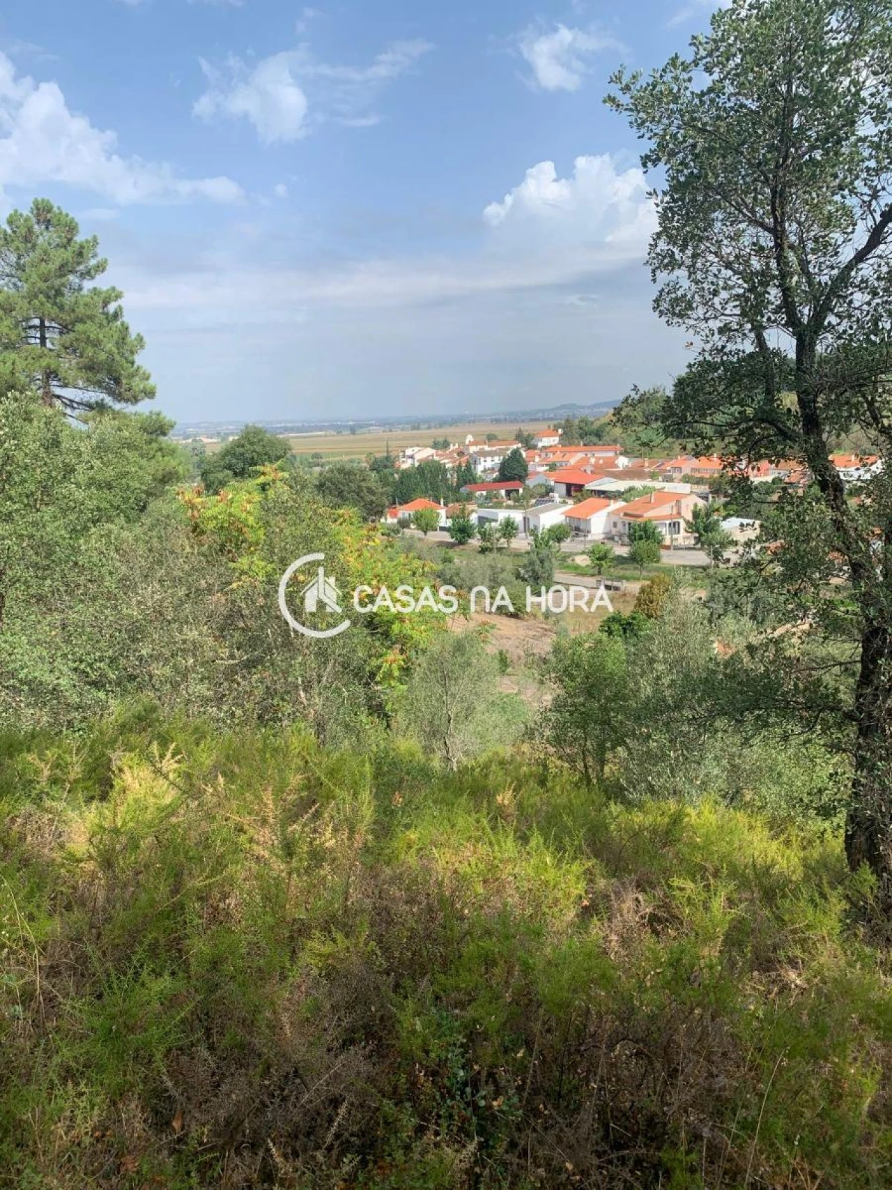 Terreno para Venda em Chamusca e Pinheiro Grande Foto 6