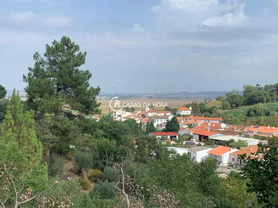 Terreno para Venda em Chamusca e Pinheiro Grande Foto 7
