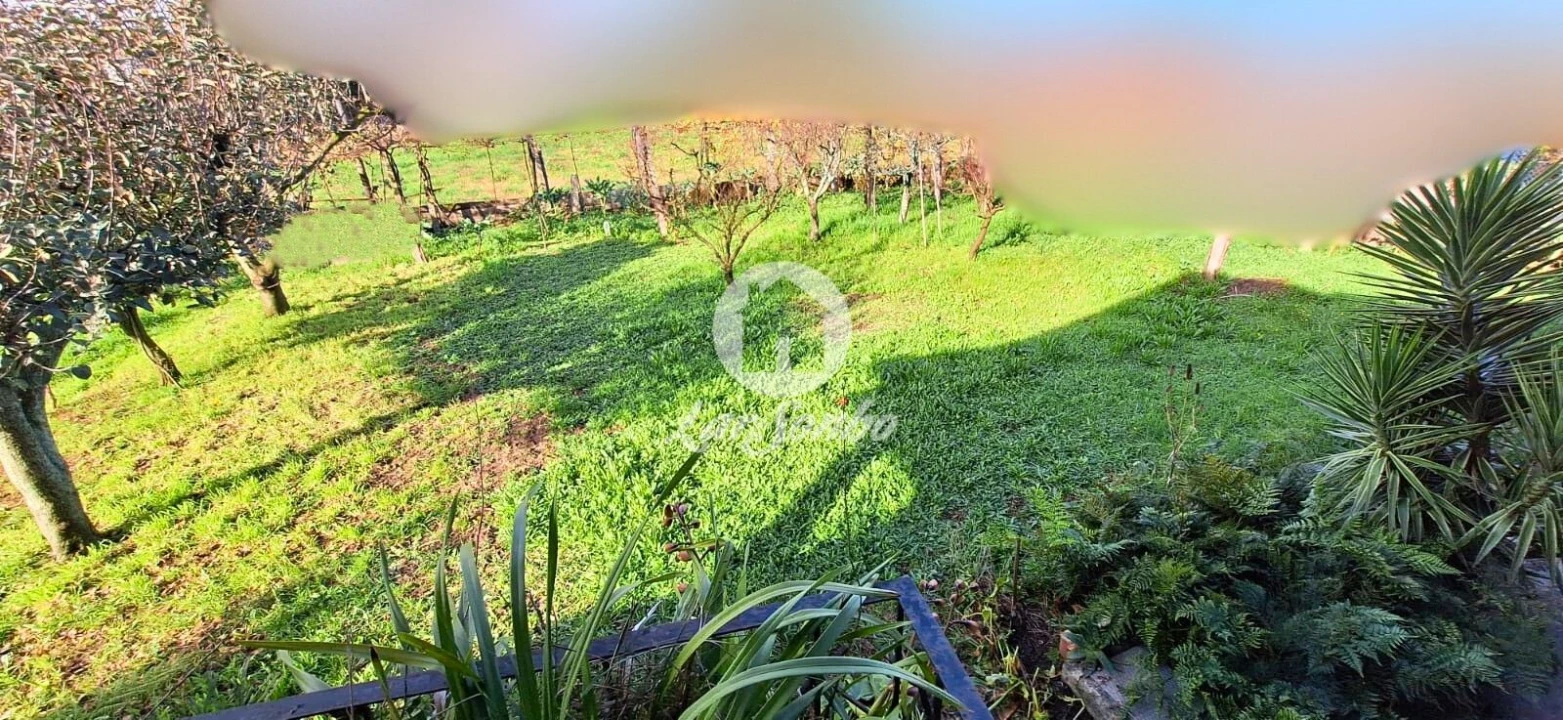 Moradia T3 para Venda em Viatodos, Grimancelos, Minhotães, Monte Fralães Foto 18