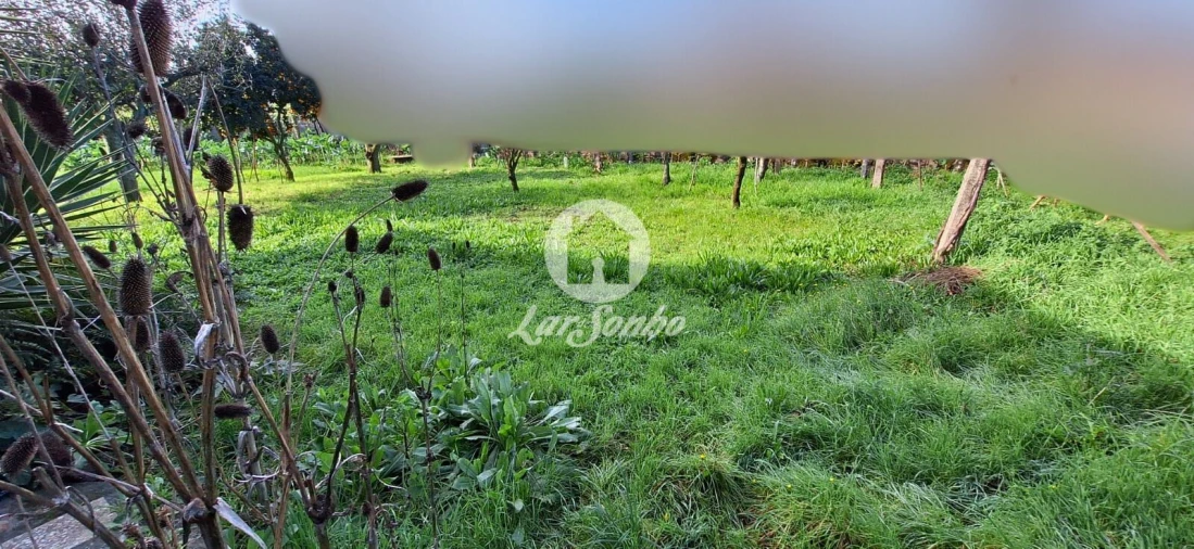 Moradia T3 para Venda em Viatodos, Grimancelos, Minhotães, Monte Fralães Foto 15