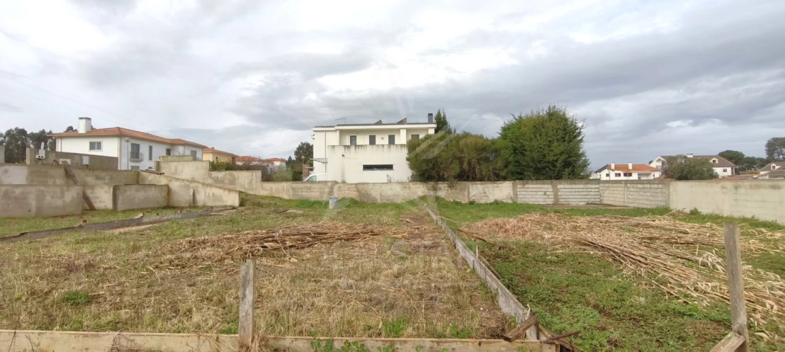 Terreno para Venda em Tornada e Salir do Porto Foto 13