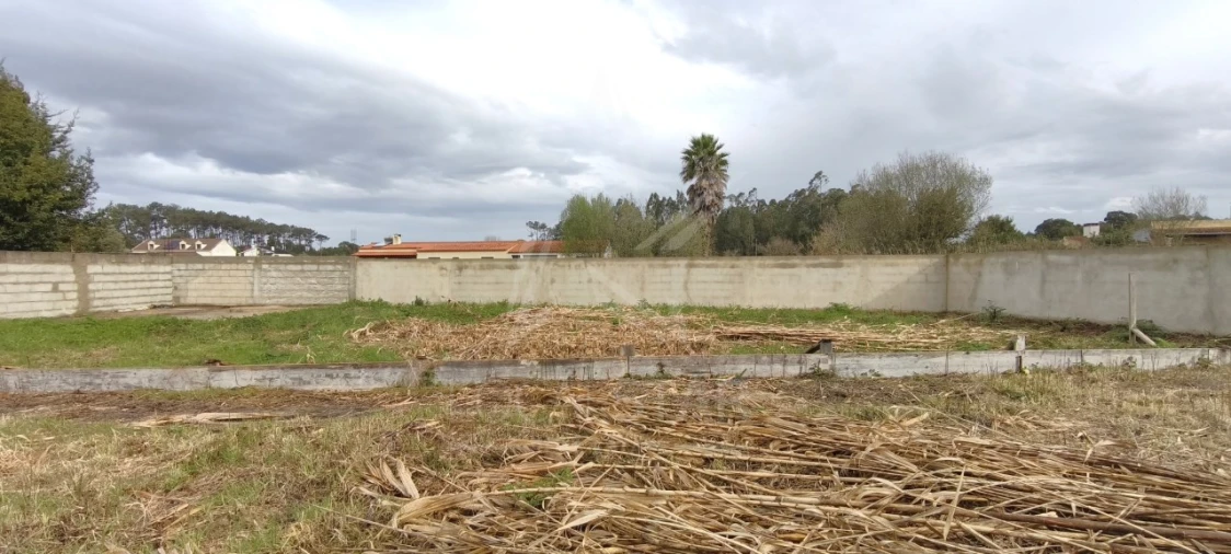 Terreno para Venda em Tornada e Salir do Porto Foto 15