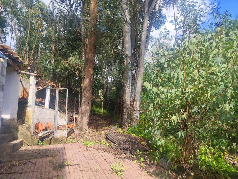 Quinta T4 para Venda em Monchique Foto 18