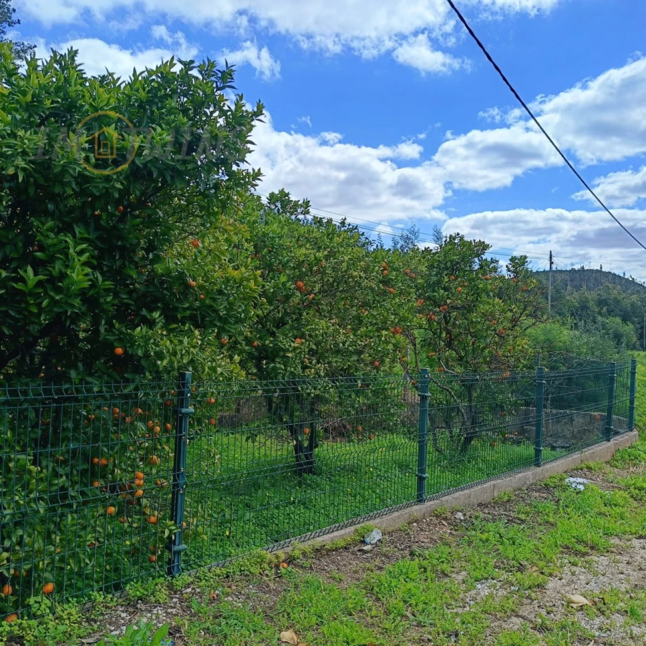 Quinta T4 para Venda em Monchique Foto 14