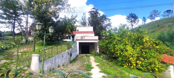 Quinta T4 para Venda em Monchique