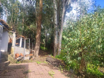 Quinta T4 para Venda em Monchique