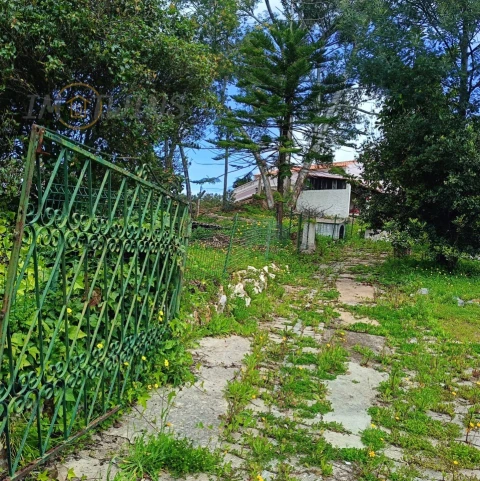 Quinta T4 para Venda em Monchique