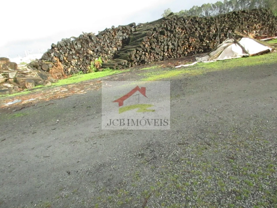 Terreno para Arrendamento em Coronado (São Romão e São Mamede) Foto 2