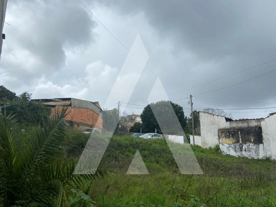 Terreno para Venda em Vila Nova de Monsarros Foto 5