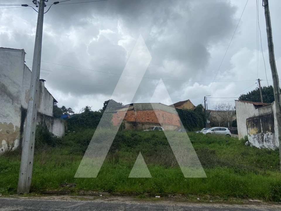 Terreno para Venda em Vila Nova de Monsarros Foto 6