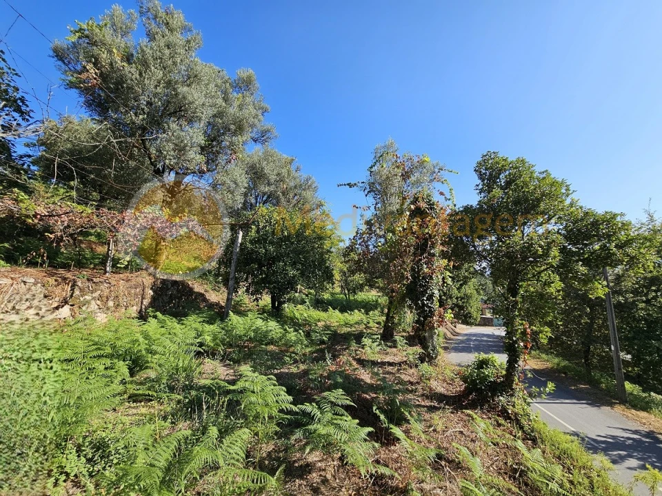 Moradia para Venda em Covelas Foto 3