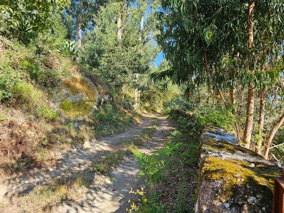 Moradia para Venda em Covelas Foto 15