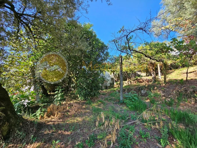 Moradia para Venda em Covelas Foto 4