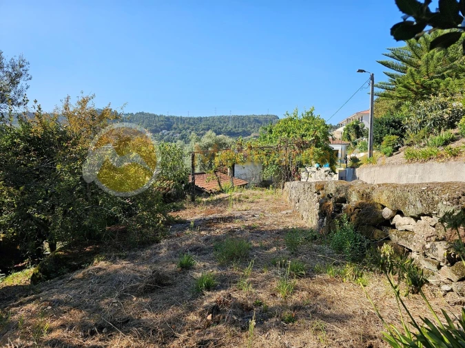 Moradia para Venda em Covelas Foto 8