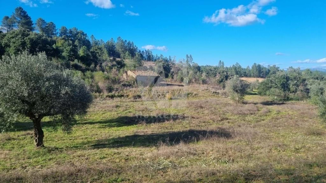 Terreno Agricola ou Rústico para Venda em Sarzedas Foto 10