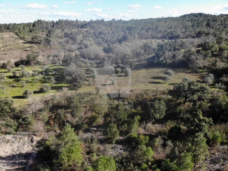 Terreno Agricola ou Rústico para Venda em Sarzedas Foto 14