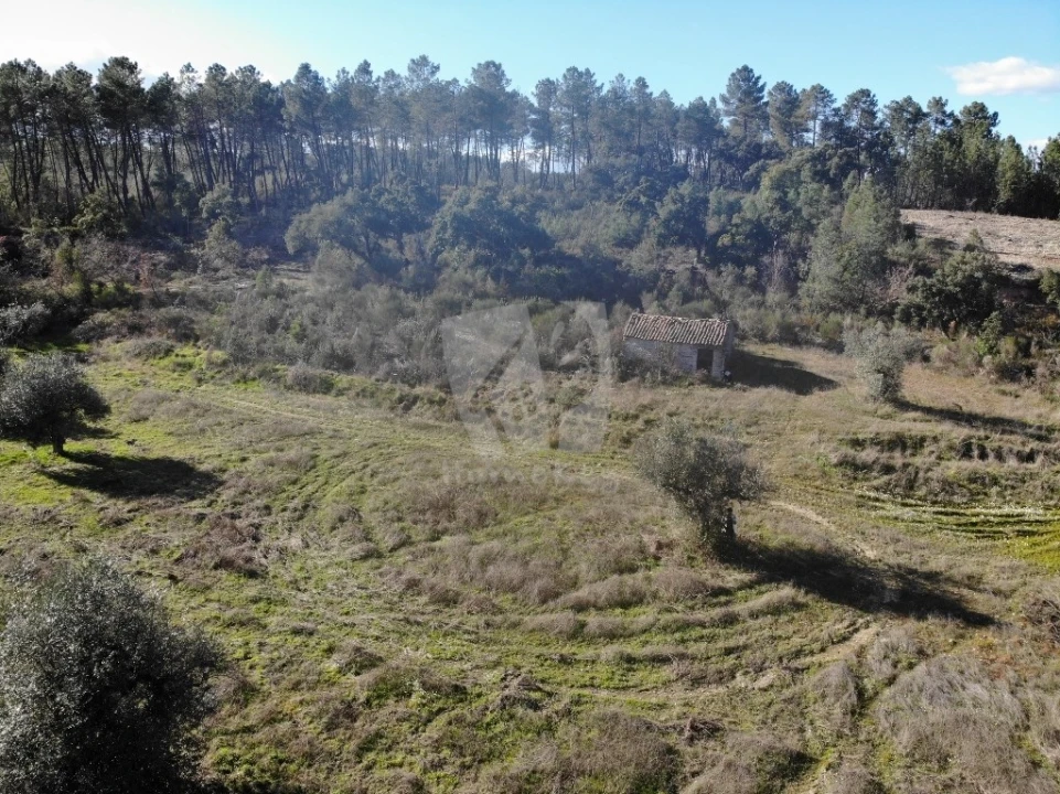 Terreno Agricola ou Rústico para Venda em Sarzedas Foto 13