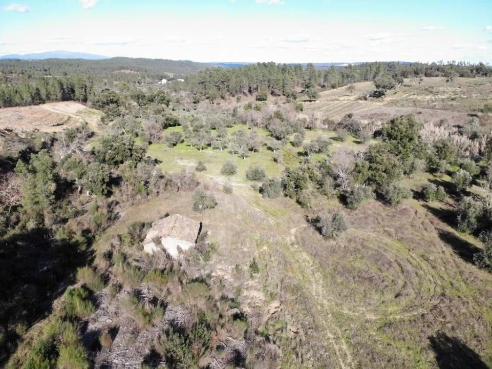 Terreno Agricola ou Rústico para Venda em Sarzedas Foto 17