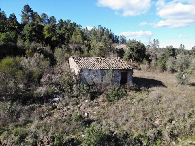 Terreno Agricola ou Rústico para Venda em Sarzedas