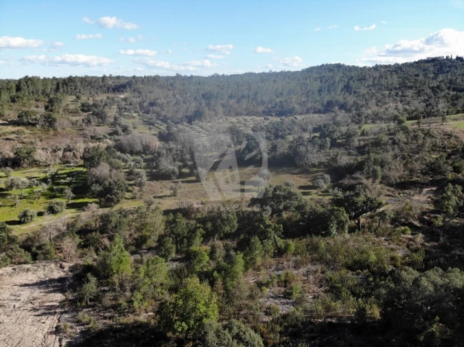 Terreno Agricola ou Rústico para Venda em Sarzedas Foto 15