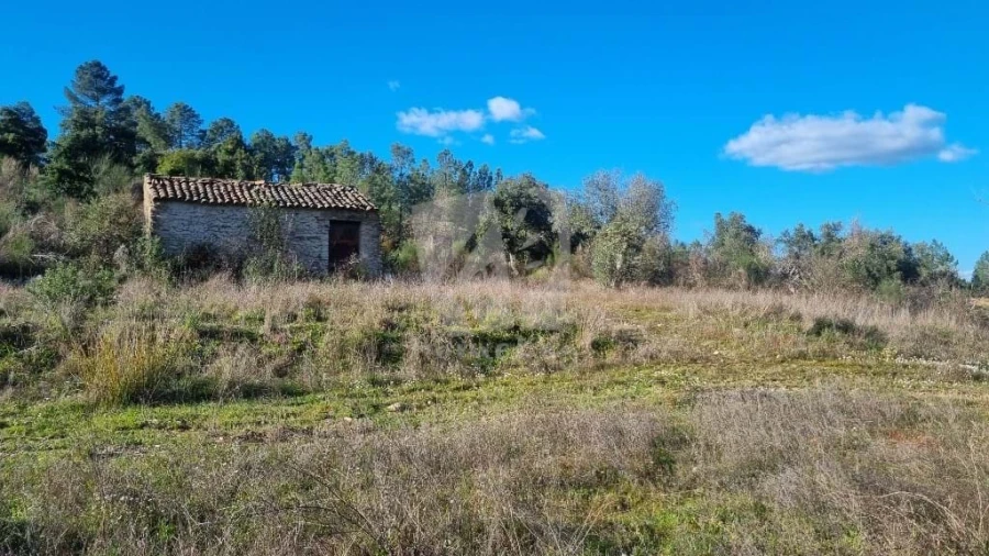 Terreno Agricola ou Rústico para Venda em Sarzedas Foto 2