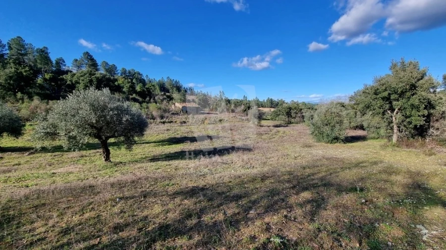 Terreno Agricola ou Rústico para Venda em Sarzedas Foto 9