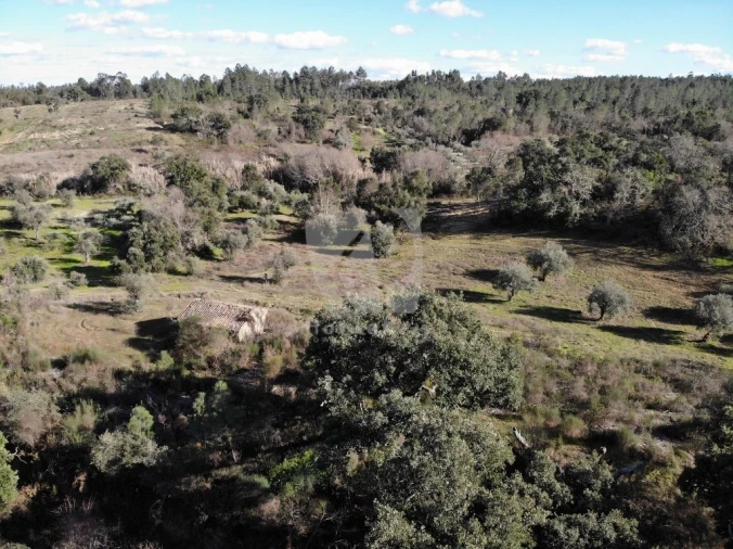 Terreno Agricola ou Rústico para Venda em Sarzedas Foto 16