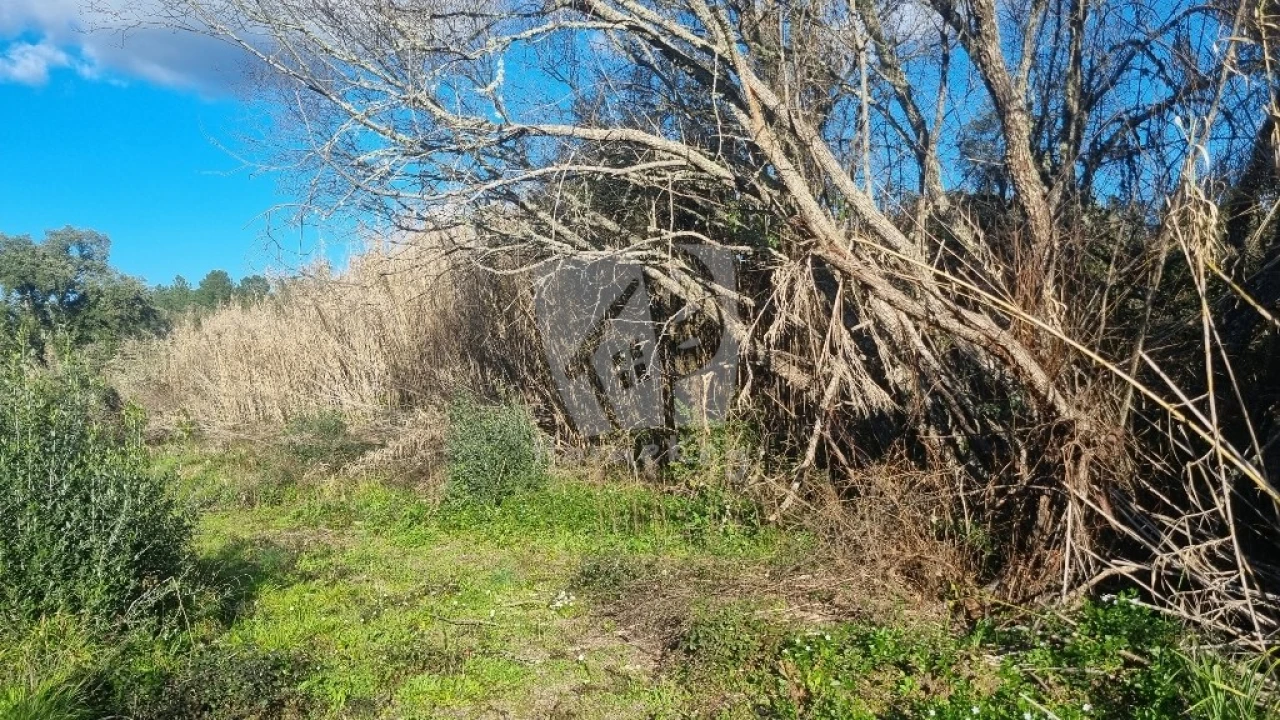 Terreno Agricola ou Rústico para Venda em Sarzedas Foto 7