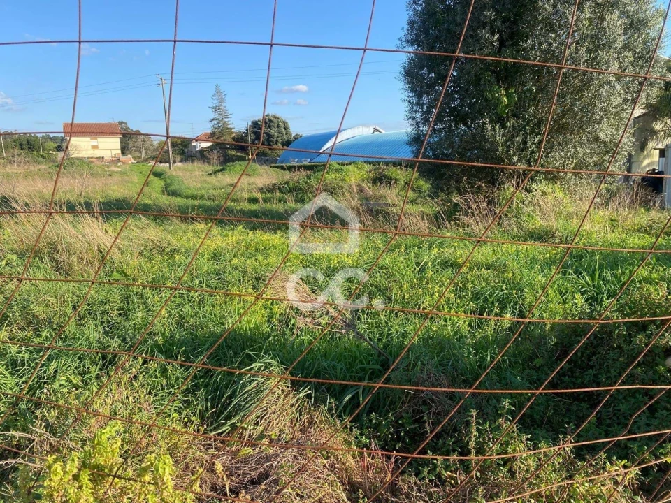 Terreno para Venda em Santa Maria Maior e Monserrate e Meadela Foto 4