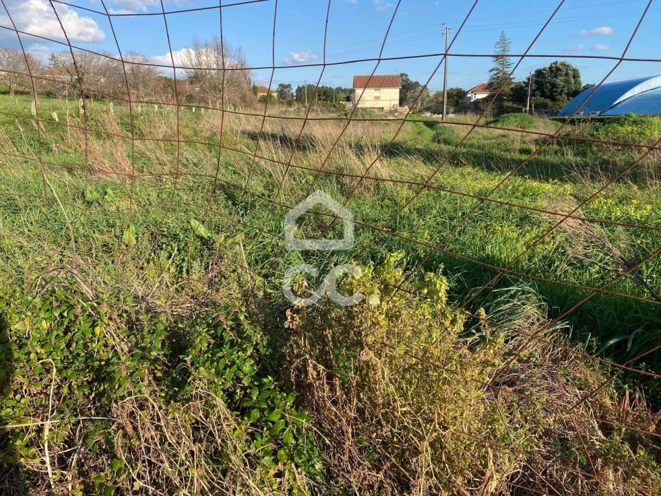 Terreno para Venda em Santa Maria Maior e Monserrate e Meadela Foto 1