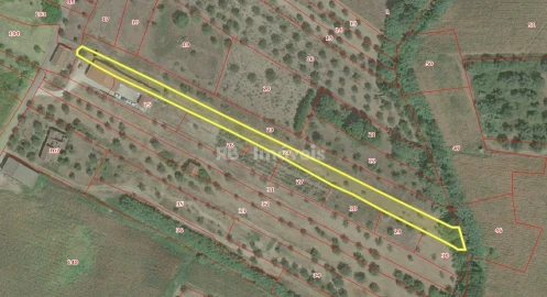 Terreno Agricola ou Rústico para Venda em São Pedro de Tomar