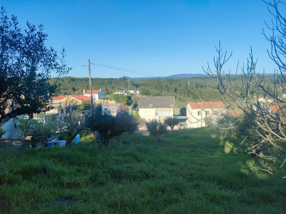 Terreno para Venda em Além da Ribeira e Pedreira Foto 5