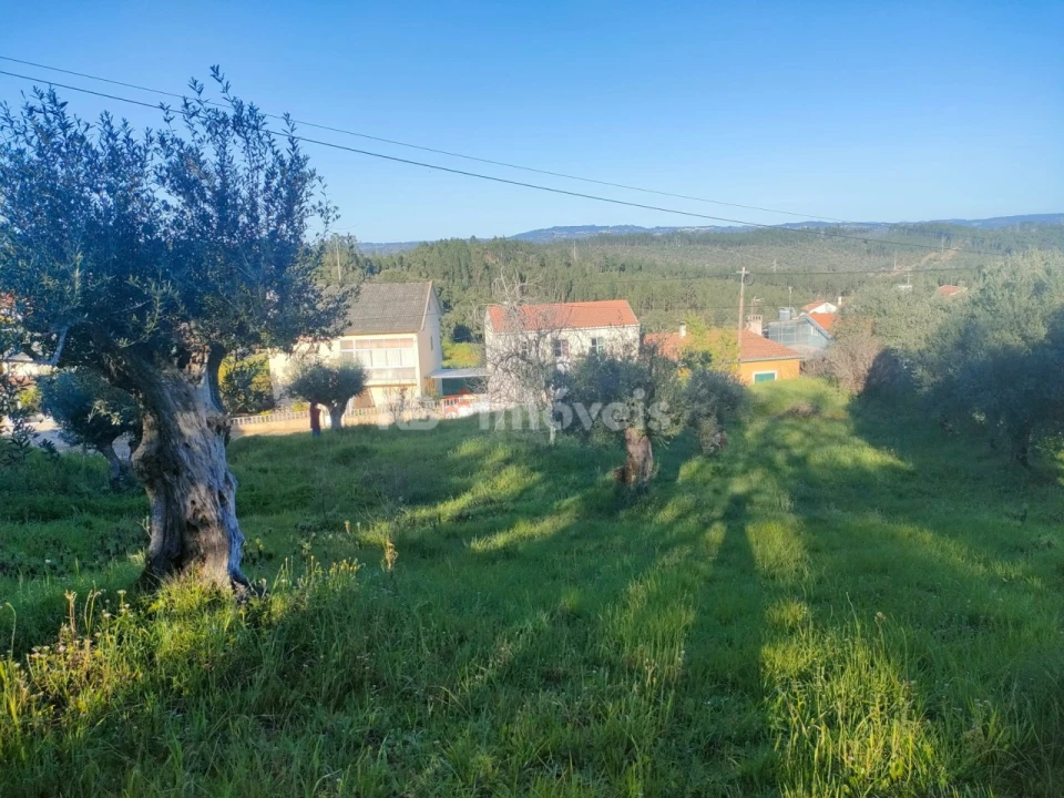 Terreno para Venda em Além da Ribeira e Pedreira Foto 4
