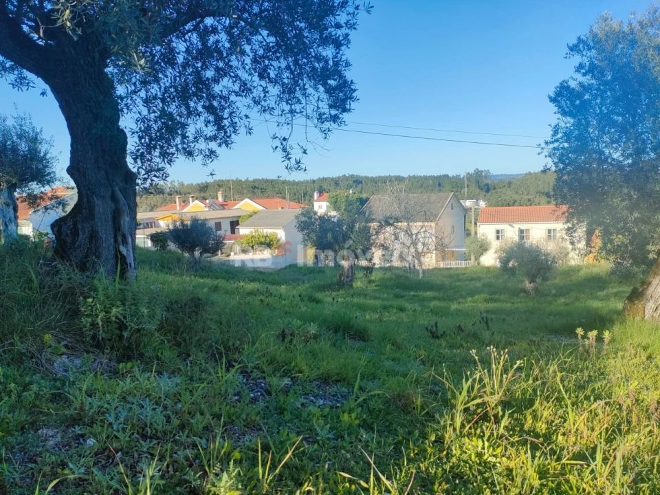 Terreno para Venda em Além da Ribeira e Pedreira Foto 2