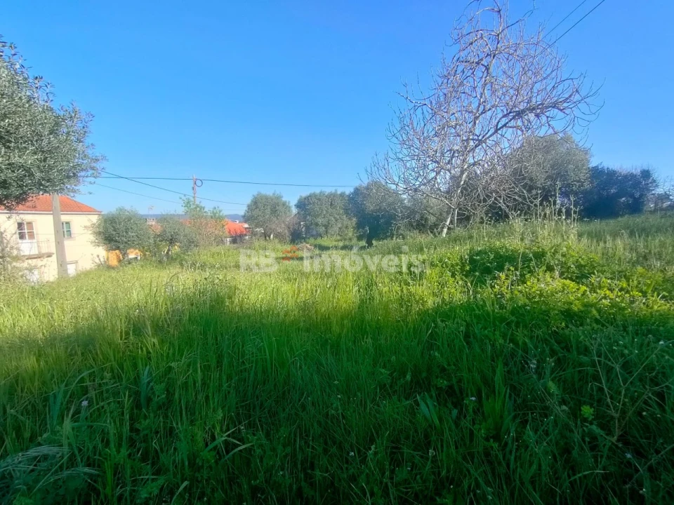 Terreno para Venda em Além da Ribeira e Pedreira Foto 3