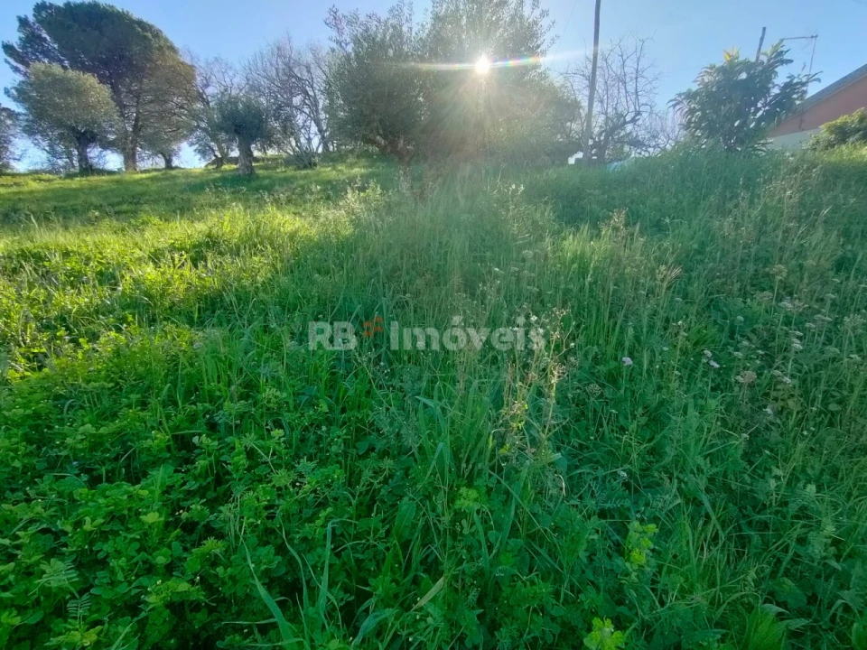 Terreno para Venda em Além da Ribeira e Pedreira Foto 1