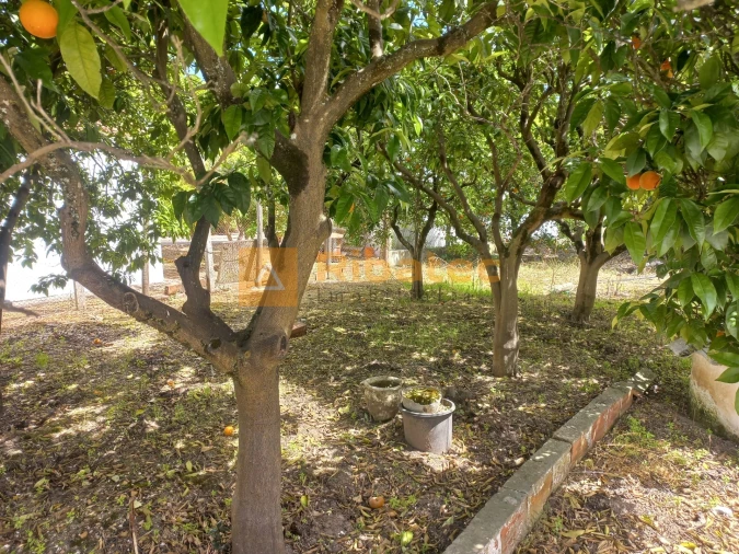 Moradia T2 para Venda em Coruche, Fajarda e Erra Foto 23