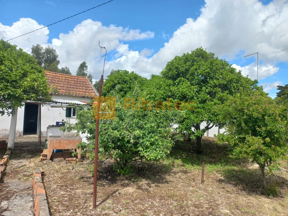 Moradia T2 para Venda em Coruche, Fajarda e Erra Foto 20