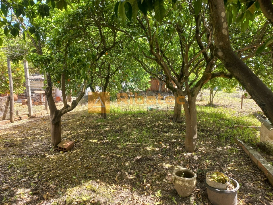 Moradia T2 para Venda em Coruche, Fajarda e Erra Foto 22