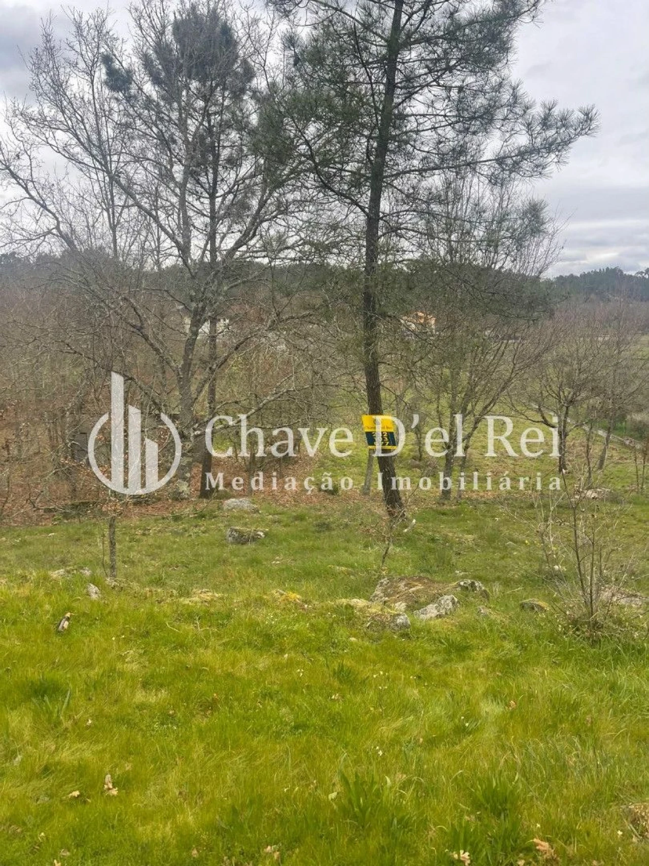 Terreno Misto para Venda em São Miguel do Mato Foto 4