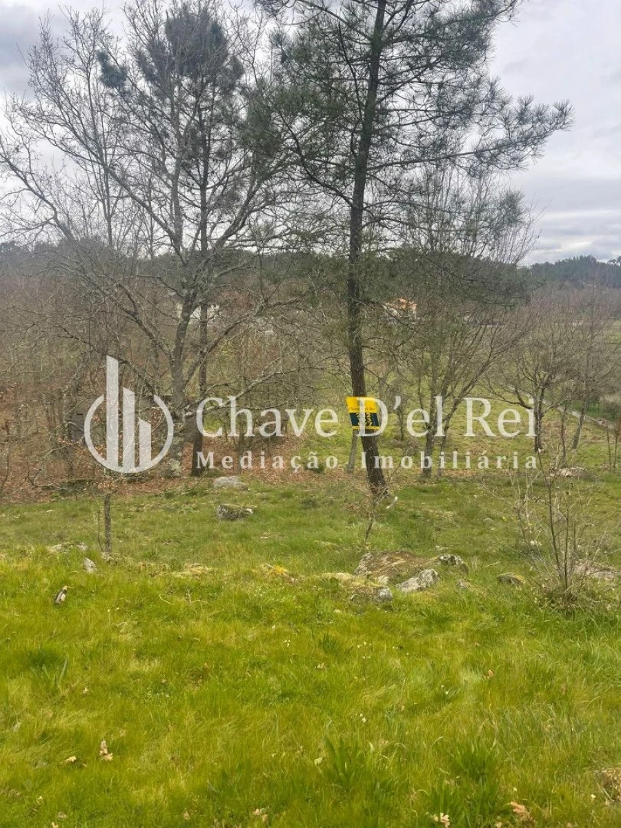 Terreno Misto para Venda em São Miguel do Mato Foto 4