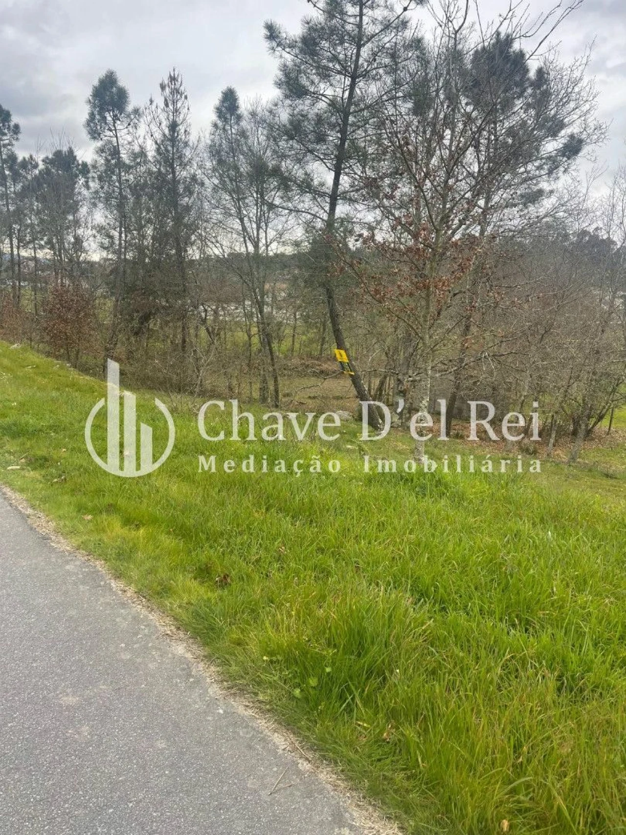 Terreno Misto para Venda em São Miguel do Mato Foto 2