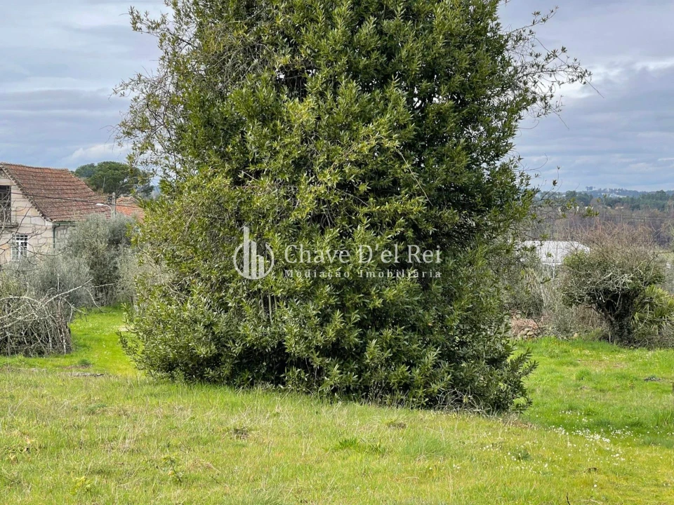 Terreno Misto para Venda em Espinho Foto 10