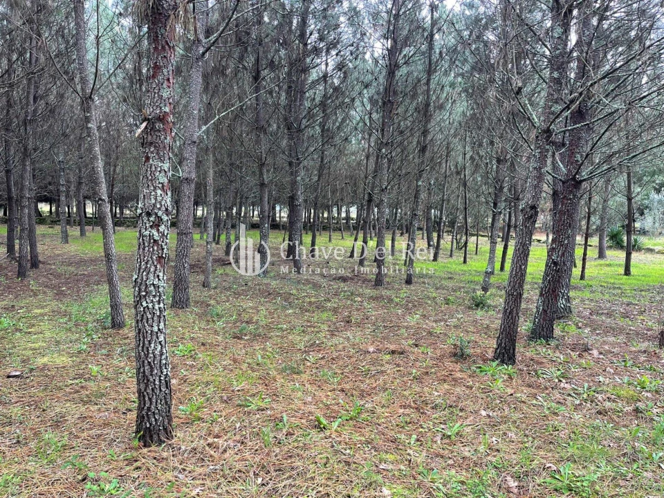 Terreno Misto para Venda em Espinho Foto 12
