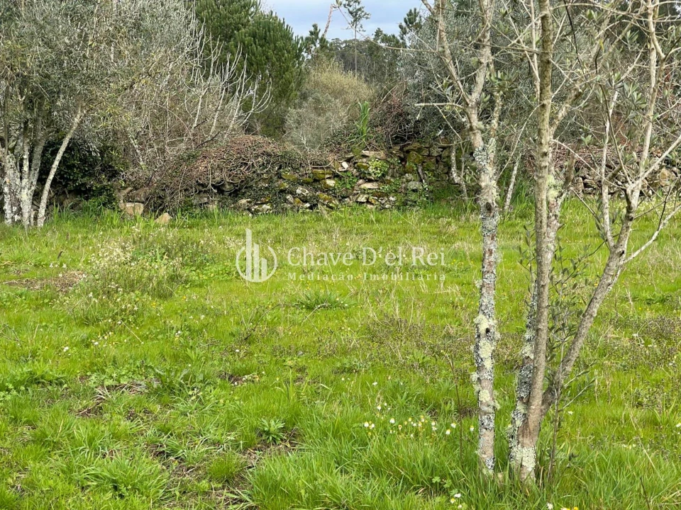 Terreno Misto para Venda em Espinho Foto 6