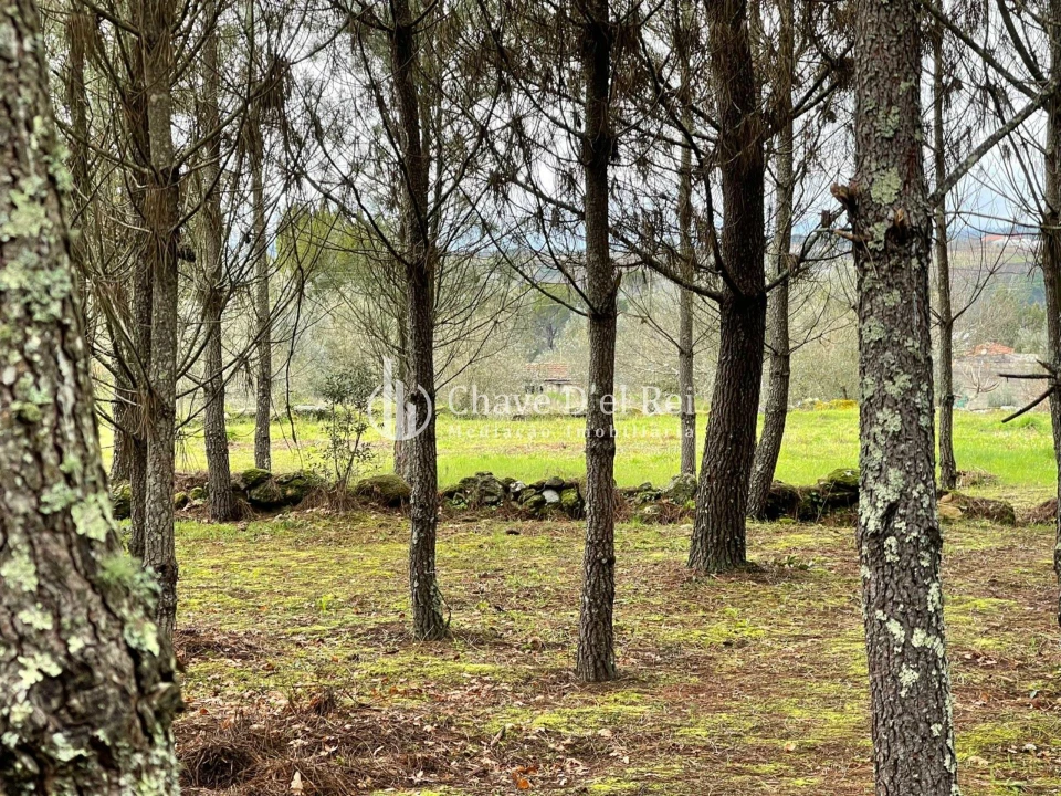 Terreno Misto para Venda em Espinho Foto 5