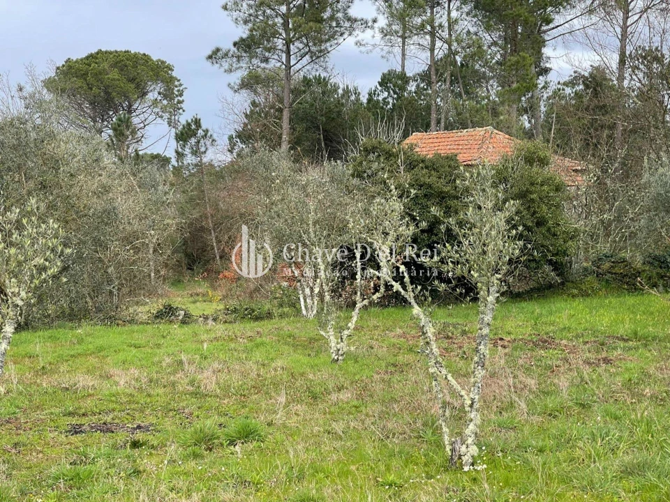Terreno Misto para Venda em Espinho Foto 4