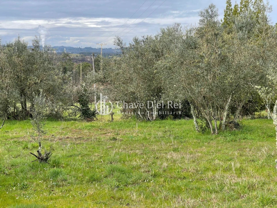 Terreno Misto para Venda em Espinho Foto 3